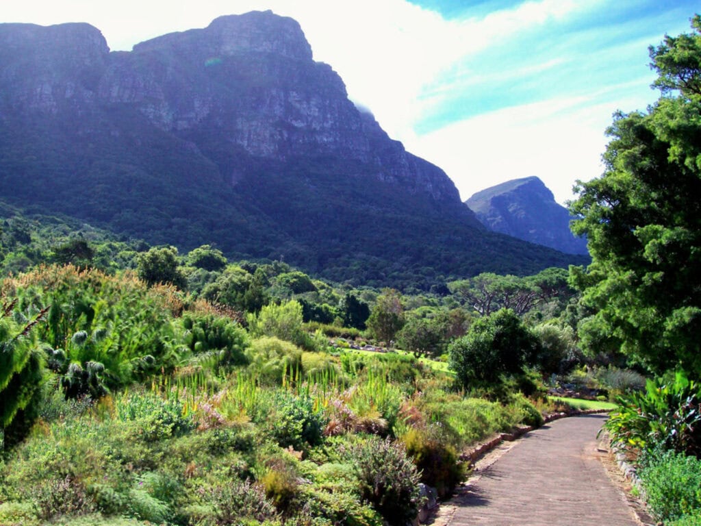 View of the mountains from Kirstenbosch Botanical Gardens, Cape Town